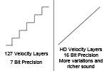 HD Velocity
